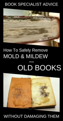 how to remove mildew smell from books and why it’s important to maintain historical documents