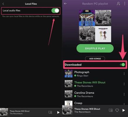 Is It Free to Upload Music to Spotify? An Examination of Various Views