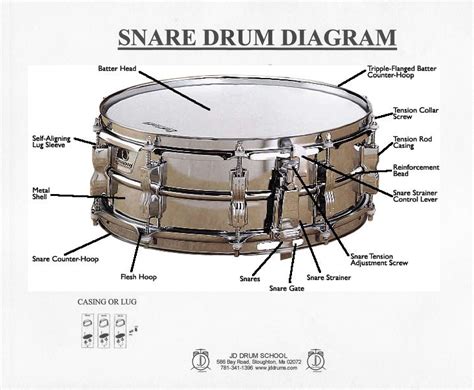 What Is Snare in Music and Its Various Expressions